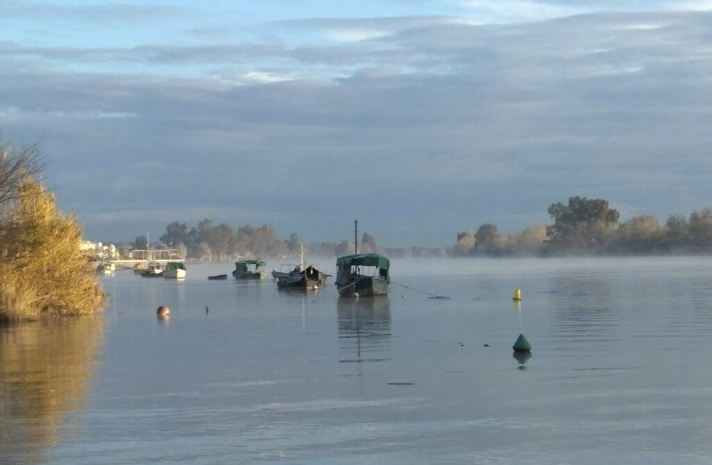 El río a su paso por Coria entre los proyectos