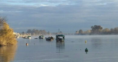 El río a su paso por Coria entre los proyectos