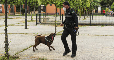 Kilo un labrador contra el menudeo de Bormujos