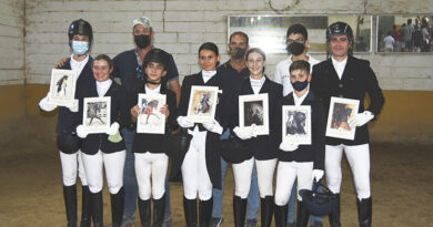 Los siete trofeos conseguidos por el equipo de El Laminillo