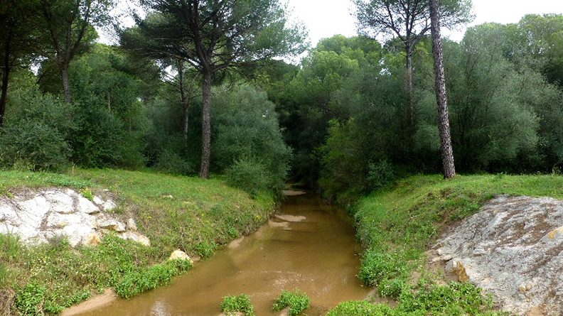 Hallan en un arroyo de Bollullos el cuerpo sin vida de la mujer de Tomares