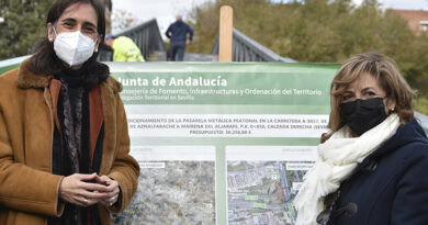 La Junta de Andalucía acaba este mes la reparación de la pasarela “Camarón”