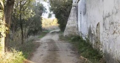 La Confederación Hidrográfica del Guadalquivir (CHG) recupera el “histórico camino” que une Mairena del Aljarafe con Gelves (Sevilla)