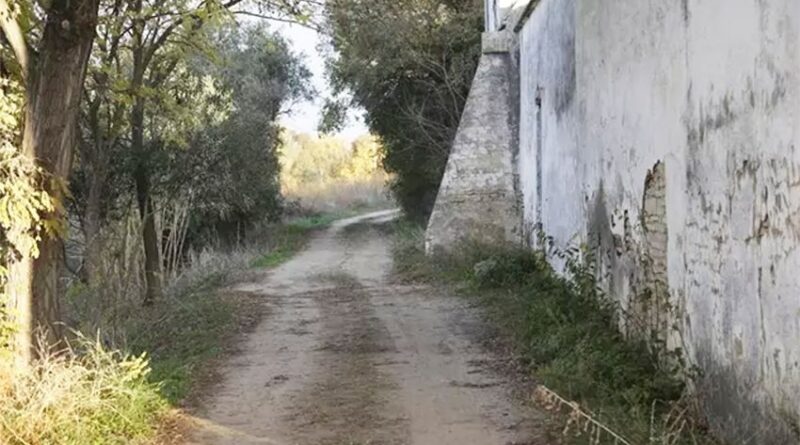La Confederación Hidrográfica del Guadalquivir (CHG) recupera el “histórico camino” que une Mairena del Aljarafe con Gelves (Sevilla)