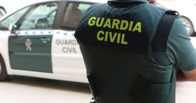 Un niño de nueve años salva la vida de su abuela aturdida en la carretera Huelva-Sevilla