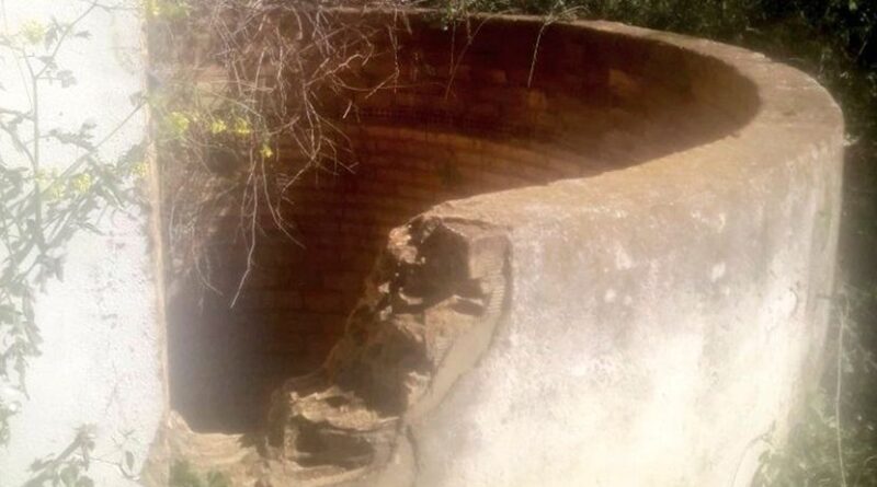Rescatan a un hombre y a su perro de un pozo en Palomares del Río