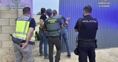 Detienen a cinco aluniceros que robaron diez veces en el Aljarafe sevillano