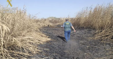Investigado por incendiar 22 hectáreas en la Puebla del Río