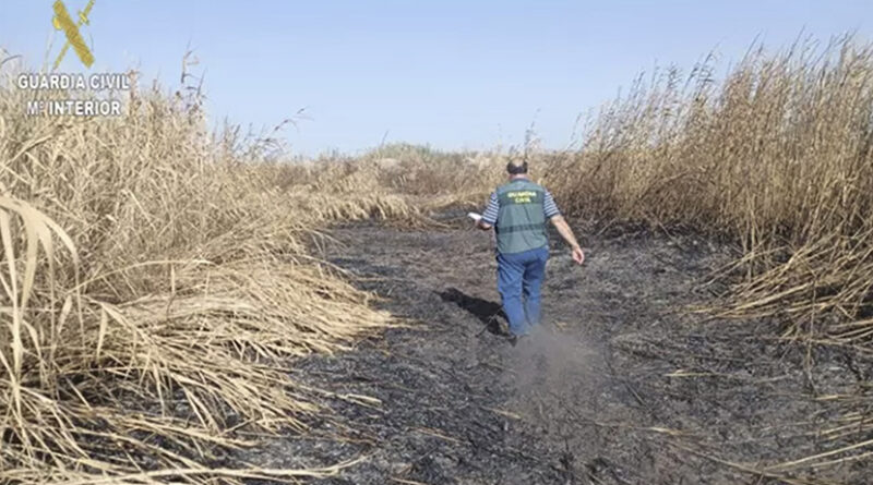 Investigado por incendiar 22 hectáreas en la Puebla del Río
