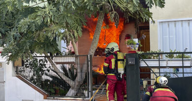 Un peligroso incendio en Mairena del Aljarafe deja un perro sin vida