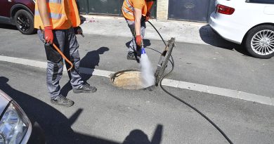 Tomares semestralmente desinsecta y desratiza el municipio