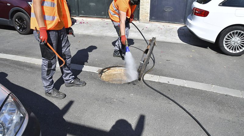 Tomares semestralmente desinsecta y desratiza el municipio