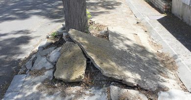 Espartinas destina 250 mil euros en arreglar acerados y alcorques