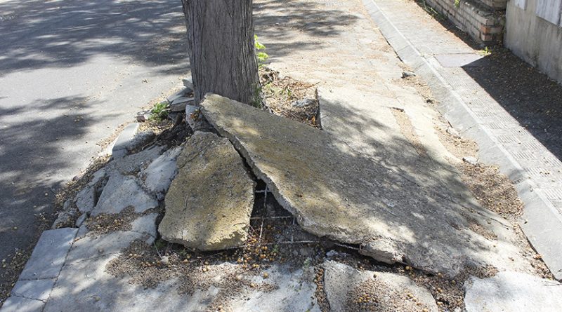 Espartinas destina 250 mil euros en arreglar acerados y alcorques