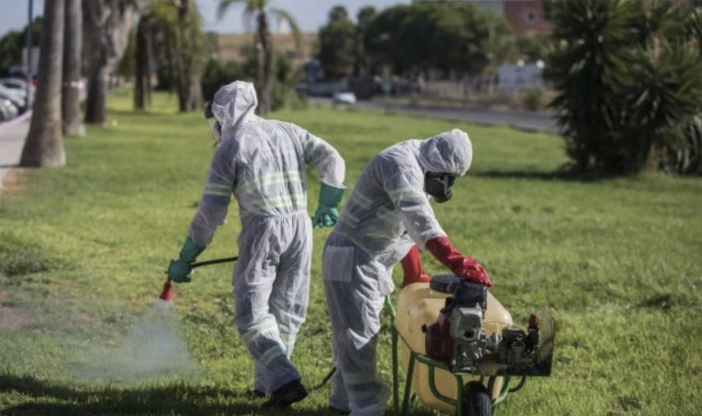 Fumigación del virus del nilo en Coria