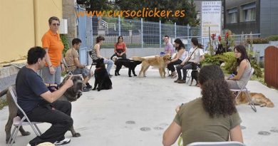 Curso canino Clícker en Mairena de la prestigiosa Nuria Francés