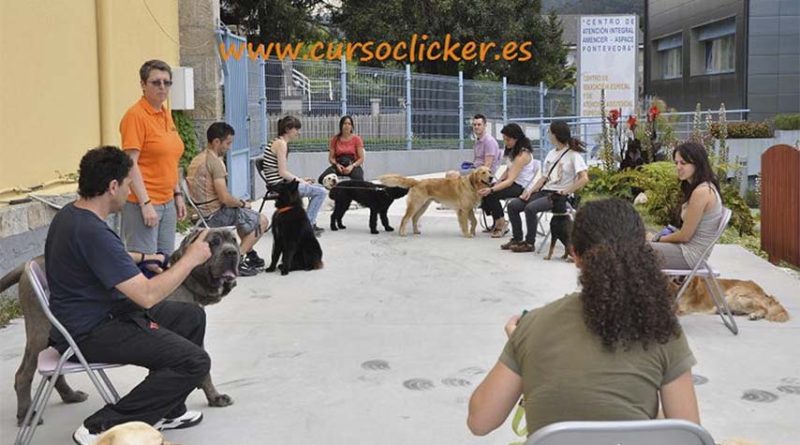 Curso canino Clícker en Mairena de la prestigiosa Nuria Francés