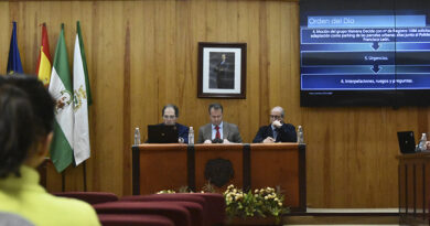 El Pleno de Mairena del Aljarafe rechaza al PSOE la RPT de Urbanismo