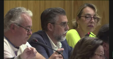 Vox Mairena del Aljarafe afea "el autobombo" partidista del PSOE