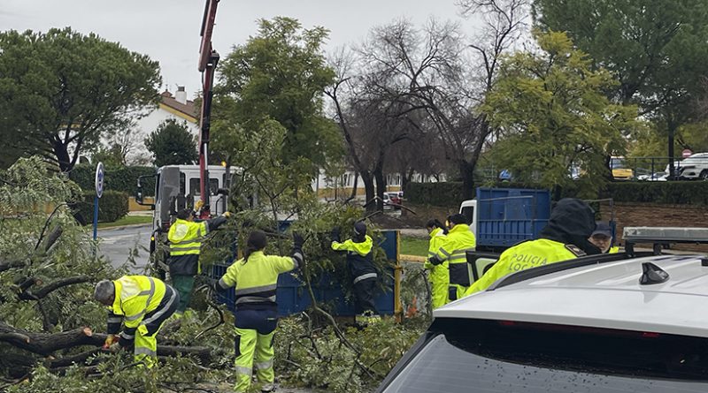 El Caos en Mairena por el Temporal desborda a los bomberos y operarios