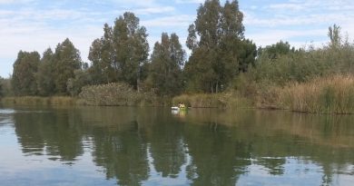 Hallan sin vida a la vecina de Mairena desaparecida