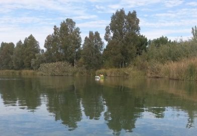 Hallan sin vida a la vecina de Mairena desaparecida