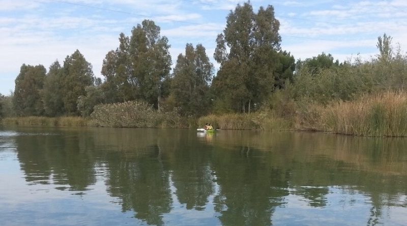 Hallan sin vida a la vecina de Mairena desaparecida