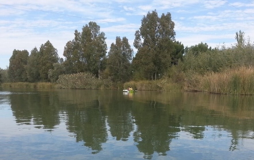 Hallan sin vida a la vecina de Mairena desaparecida