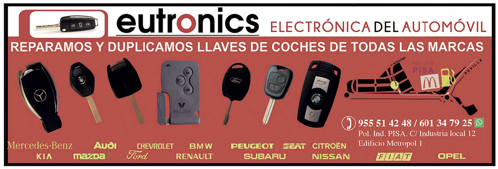 Eurotronics electronica del automovil